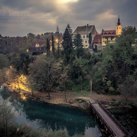Apartment Petrovic スルニュ エクステリア 写真