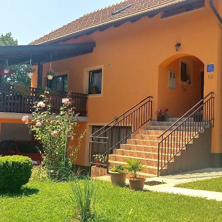 Apartment Petrovic スルニュ エクステリア 写真