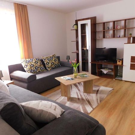Apartment Petrovic スルニュ エクステリア 写真