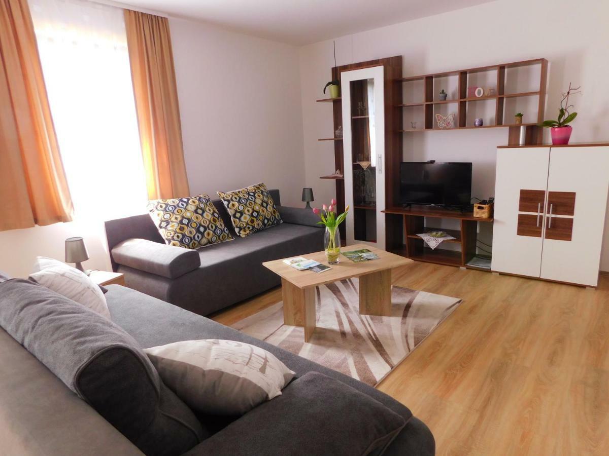 Apartment Petrovic スルニュ エクステリア 写真