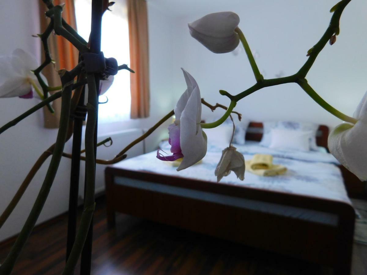 Apartment Petrovic スルニュ エクステリア 写真
